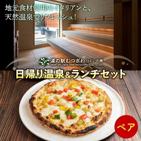 【ふるさと納税】道の駅むつざわ 健康支援型 日帰り温泉＆ランチセット ペアプラン レンタルタオル付 天然温泉 イタリアン 旅行 観光 トラベル ペアチケット 千葉県 睦沢町 F21G-214