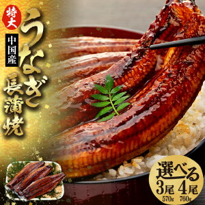 yӂ邳Ɣ[Łz傤Ȃ 570g`760g Ⓚ V Ȃ EiM Ă  ^ ^pbN  O ȏd Ђ܂Ԃ ӂ邳 [ t 