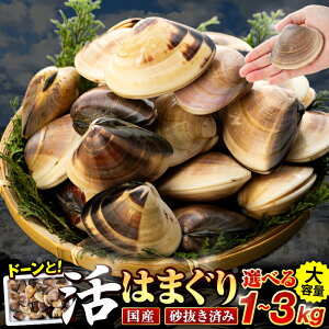 yӂ邳Ɣ[Łz tYn}O 1kg ` 3kg VR ͂܂ n}O  L   O ӂ邳 [ t  \㗢