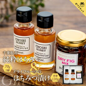 【ふるさと納税】【化粧箱入り／熨斗・リボン対応】美と健康ギフトセット（純粋はちみつ70g×2種＆ドライフルーツはちみつ漬け） 国産 百花蜜 はちみつ ハチミツ 蜂蜜 イチジク カカオニブ セット ふるさと 納税 千葉県 長生村