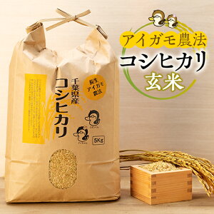 yӂ邳Ɣ[Łzyߘa7NYVāzACK_@ɂ邨 5.5kg`60kg  RVqJ Ђ _@  ACK _@   ӂ邳 [ t 