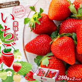 【ふるさと納税】長生村産いちご 280g×2パック【2026年産】 おまかせ 長生村産 いちご イチゴ 苺 フルーツ 果物 ふるさと 納税 千葉県 長生村
