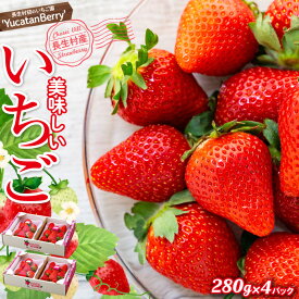 【ふるさと納税】長生村産いちご 280g×2パック×2セット 合計4パック【2026年産】 おまかせ 長生村産 いちご イチゴ 苺 フルーツ 果物 ふるさと 納税 千葉県 長生村