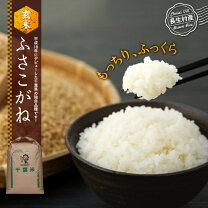 楽天市場】千葉県産 コシヒカリ 玄米30kgの通販 
