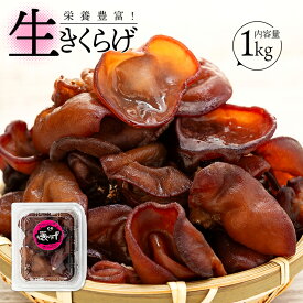 【ふるさと納税】生きくらげ 1kg きのこ 木耳 ふるさと 納税 千葉県 長生村