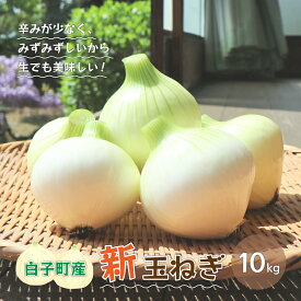 【ふるさと納税】【令和8年の先行予約募集・数量限定】生で食べても美味しい！白子産の新玉ねぎ10kg ふるさと納税 たまねぎ 玉ねぎ 白子玉ねぎ スライス サラダ 健康 味噌汁 数量限定 先行予約 令和8年発送 2026年発送 千葉県 白子町 送料無料 SHK001