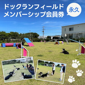 yӂ邳Ɣ[ŁzyivzhbNtB[h o[Vbv ӂ邳Ɣ[ hbOX|[c p `Pbg  Ck  hbO ǂ dog sports dog run AWeB[ Ir