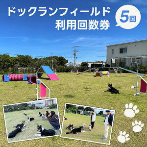 yӂ邳Ɣ[Łz hbNtB[hp񐔌i5j ӂ邳Ɣ[ hbOX|[c p `Pbg  Ck  hbO ǂ dog sports dog run AWeB[ IrfBGX 