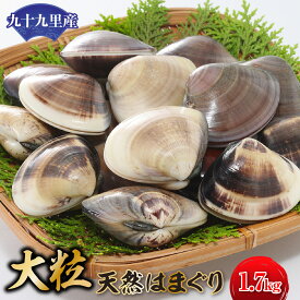 【ふるさと納税】九十九里産 大粒 天然はまぐり1.7kg ふるさと納税 はまぐり 蛤 天然 焼きはま 網焼き 酒蒸し お吸い物 お祝い パエリア 和食 活はまぐり 川喜屋水産 節句 ひな祭り ひなまつり 手土産 送料無料 SHF001