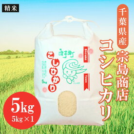 【ふるさと納税】令和5年産 千葉県産 コシヒカリ（精米）5kg（2023年9月上旬から発送） ふるさと納税 お米 5kg 千葉県産 白子町 コシヒカリ 米 精米 こめ 年越し おせち お餅 新年 お雑煮 送料無料 SHM001