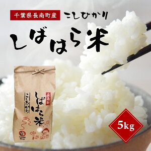 yӂ邳Ɣ[Łzy9{JnzyVāzߘa7NY tYRVqJu΂͂āv5kg() ӂ邳Ɣ[ RVqJ    t 쒬 CNA001