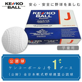 【ふるさと納税】野球ボール　送料無料　（公財）全日本軟式野球連盟公認球　ケンコーボールJ号（1ダース）N02022