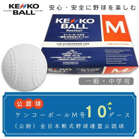 【ふるさと納税】野球ボール　軟式ボール　公認球　送料無料　（公財）全日本軟式野球連盟公認球　ケンコーボールM号（10ダース）　N20501