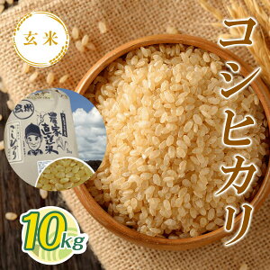 yӂ邳Ɣ[Łzߘa7NY V RVqJ 10kg T01531 / ϕāi1j   RVqJ Ђ  R ͂  t 命쒬