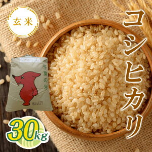 yӂ邳Ɣ[Łzߘa7NY V RVqJ 30kg T03501 / ϕāi1j   RVqJ Ђ  R ͂  t 命쒬