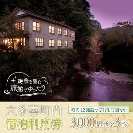 【ふるさと納税】大多喜町内宿泊利用券3000円分 3枚 宿泊券 宿泊利用券 温泉 千葉 ギフト 送料無料 W03020