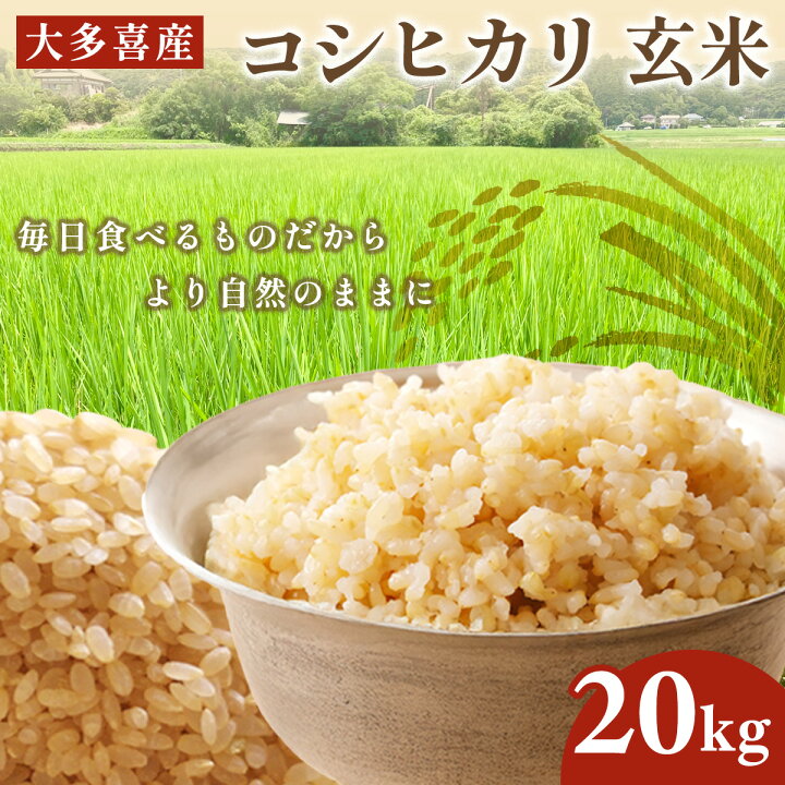 楽天市場】【ふるさと納税】令和7年産 大多喜産コシヒカリ 玄米20kg 