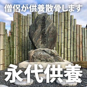 yӂ邳Ɣ[Łzi㋟{U ӂ邳Ɣ[ {  i  F U c  ~ ފ݃JV t 命쒬  SK55001