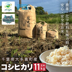 【ふるさと納税】J03202【新米】令和7年産 コシヒカリ 玄米11kg / 米 こめ コメ 玄米 こしひかり コシヒカリ 籠米 バスケットボール esDGs OTAKI.EXE 大多喜町 千葉県