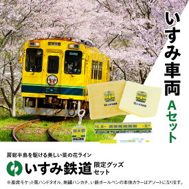 【ふるさと納税】 I01022 いすみ車両 Aセット I01022