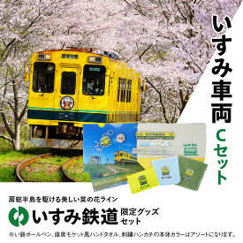 【ふるさと納税】 I02035 いすみ車両 Cセット I02035