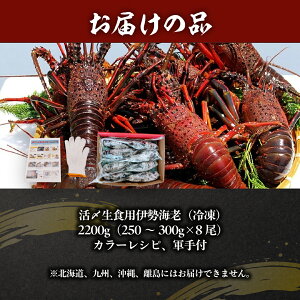 �y�ӂ邳�Ɣ[�Łz���Y���H�p�ɐ��C�V�i�Ⓚ�j�w�I�ׂ�e�ʁx430g�i200�`230g×2���j�`2200g�i250�`300g×8���j