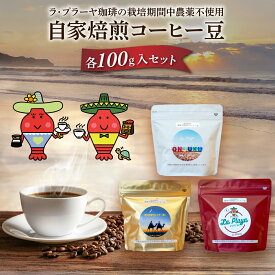 【ふるさと納税】ラ・プラーヤ珈琲の『栽培期間中農薬不使用』自家焙煎コーヒー豆（100g×3袋） 【コーヒー豆 コーヒー 豆 珈琲 栽培期間中農薬不使用 ブレンドコーヒー ブレンド ご当地 ご当地コーヒー 自家焙煎 ギフト 贈り物 La Playa Coffee 千葉県 御宿町】 ONJM001
