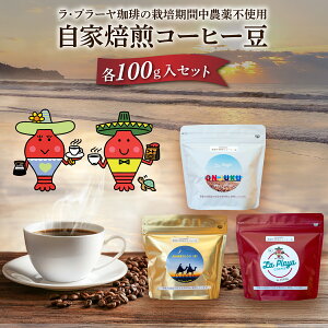 yӂ邳Ɣ[ŁzEv[́w͔|Ԓ_sgpxR[q[i100g×3܁j yR[q[ R[q[   ͔|Ԓ_sgp uhR[q[ uh n 