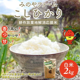 【ふるさと納税】令和8年産 こしひかり 2kg 3kg 5kg（白米） みのやファーム 耕作放棄地解消応援米 【 コシヒカリ こしひかり おいしい お米 米 こめ 自然栽培 贈り物 ギフト 千葉県 御宿町 人気 おすすめ ランキング 】 ONJF001