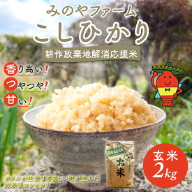 【ふるさと納税】令和8年産 こしひかり 2kg 3kg 5kg（玄米） みのやファーム 耕作放棄地解消応援米 【 コシヒカリ こしひかり おいしい お米 米 こめ 自然栽培 贈り物 ギフト 千葉県 御宿町 人気 おすすめ ランキング 】 ONJF004-006