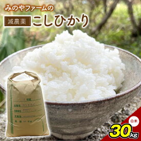 【ふるさと納税】みのやファームの減農薬こしひかり 30kg(白米)【 コシヒカリ こしひかり おいしい お米 米 こめ 自然栽培 贈り物 ギフト 千葉県 御宿町 人気 おすすめ ランキング 】 ONJF014
