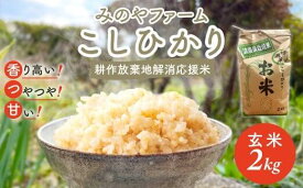 【ふるさと納税】令和7年産新米 こしひかり 2kg 3kg 5kg（玄米） みのやファーム 耕作放棄地解消応援米 【 コシヒカリ こしひかり おいしい お米 米 こめ 自然栽培 贈り物 ギフト 千葉県 御宿町 人気 おすすめ ランキング 】 ONJF001