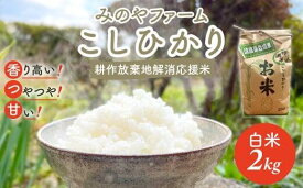 【ふるさと納税】令和7年産新米 こしひかり 2kg 3kg 5kg（白米） みのやファーム 耕作放棄地解消応援米 【 コシヒカリ こしひかり おいしい お米 米 こめ 自然栽培 贈り物 ギフト 千葉県 御宿町 人気 おすすめ ランキング 】 ONJF001
