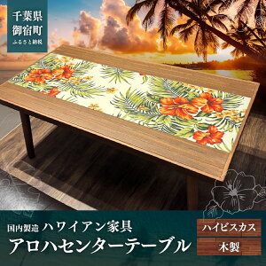 �y�ӂ邳�Ɣ[�Łz�n���C�A���Ƌ�@�A���n�Z���^�[�e�[�u���@�n�C�r�X�J�X ONJAD002