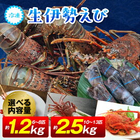 【ふるさと納税】冷凍生伊勢えび