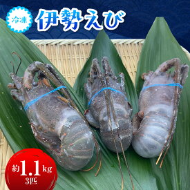 【ふるさと納税】C114 冷凍伊勢えび1.1kg(300～400g×3匹入) ONJA037