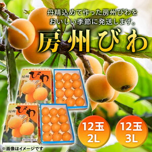 yӂ邳Ɣ[Łz y2026Nxs\z [Bт 24ʁi3LTCY12ʂ2LTCY12ʁj ^ r f  Yn t Y t[c ʕ т F22X-007