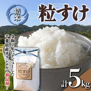 yӂ邳Ɣ[Łz ߘa7NY V   5kg i5kg×1܁j     t 쒬 F22X-136