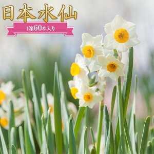yӂ邳Ɣ[Łz{iԁj160{ ԑ Mtg A  Yn t 쒬 F22X-145