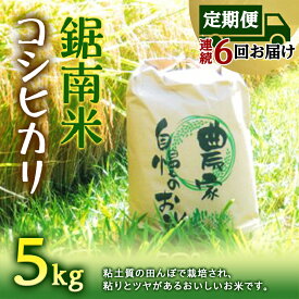 【ふるさと納税】【定期便6回連続お届け】令和5年産米 鋸南米 コシヒカリ 5kg F22X-153