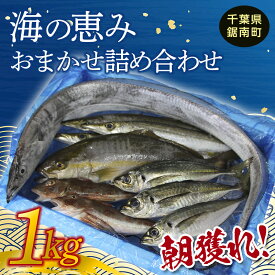 【ふるさと納税】朝獲れ！海の恵み おまかせ 詰め合わせセット 1kg 魚介 海鮮 魚 処理済み 千葉県 鋸南町 F22X-113