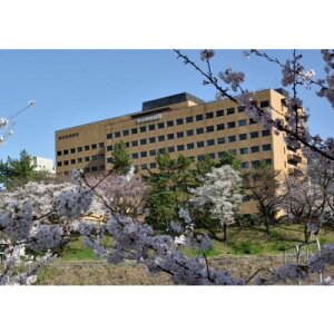 yӂ邳Ɣ[ŁzysczMa@lԃhbNMtg/jp 1l + ۂ܂̃bNy1686601z