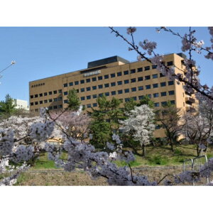 yӂ邳Ɣ[ŁzysczMa@lԃhbNMtg/p 1l + ۂ܂̃bNy1686602z