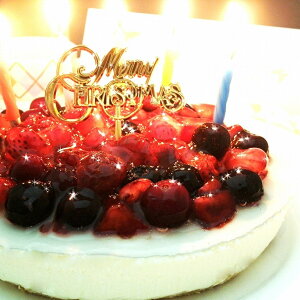 【ふるさと納税】【エニシダ】誕生日ケーキ 4種のベリーチーズケーキ(キャンドル・誕生日プレート付) レアチーズケーキ チーズケーキ ケーキ 誕生日ケーキ 濃厚 フルーツ ベリー 冷凍 誕生