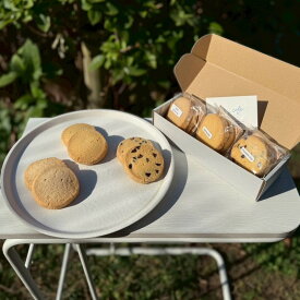 【ふるさと納税】新宿の小さなクッキー屋さんが作る、手作りクッキーBOX（6枚） クッキー セット バター チョコチップ ビーガン グルテンフリー ご褒美 プレゼント 新宿区 セット おやつ 焼き菓子 0173-001-S07