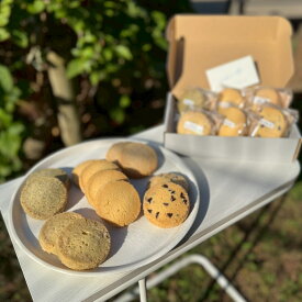【ふるさと納税】新宿の小さなクッキー屋さんが作る、手作りクッキーBOX（12枚） クッキー セット バター チョコチップ ビーガン グルテンフリー ホワイトチョコ チョコ ご褒美 プレゼント 新宿区 セット おやつ 焼き菓子 0173-002-S07