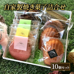 yӂ邳Ɣ[ŁzĂَq 10 Zbg L'essentielle ZVG lߍ킹 P[N }h[k tBiVF eBO Tu ĉَq َq َq mَq fU[g XC[c  Mtg 