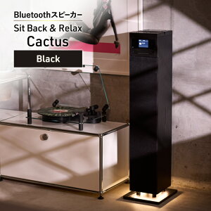�y�ӂ邳�Ɣ[�ŁzSit Back �� Relax Cactus Black CD�@�\�t���^���[�^Bluetooth�X�s�[�J�[ �I�[�f�B�I Bluetooth �����s ������@���͂��F1�`1�J�������x�Ŕ���