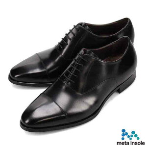 yӂ邳Ɣ[Łzmadras(}hX) amC meta insole M600AMT  ubN  _[NuE v {v { U[ p␳ s T|[g Y ʋ  Mtg