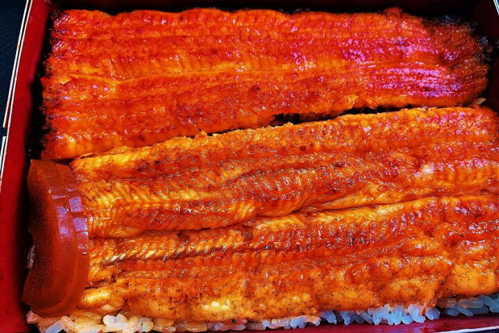 楽天市場】【ふるさと納税】のだやお食事券付【ベッセルイン上野入谷 